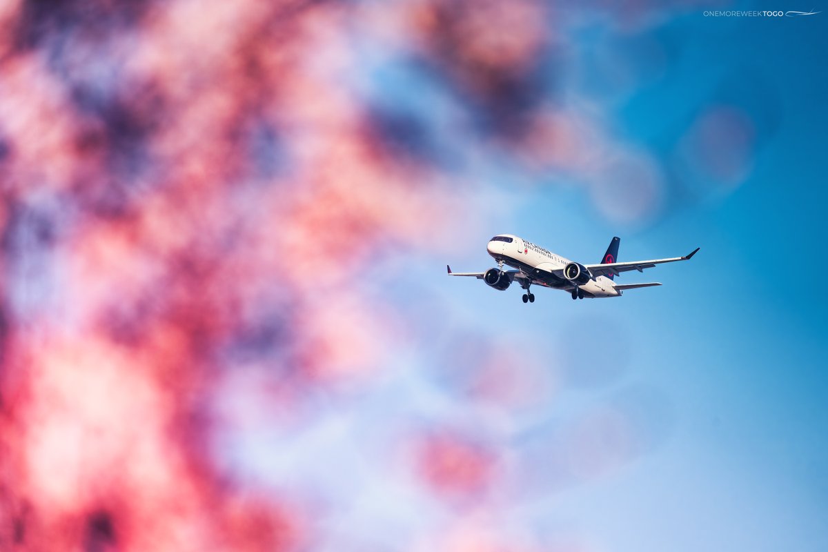 Vancouver's cherry blossom trees provide some color and foreground blur for this @AirCanada #A220 arriving into @yvrairport. #aviation #cherryblossoms #aircanada #airbusa220
