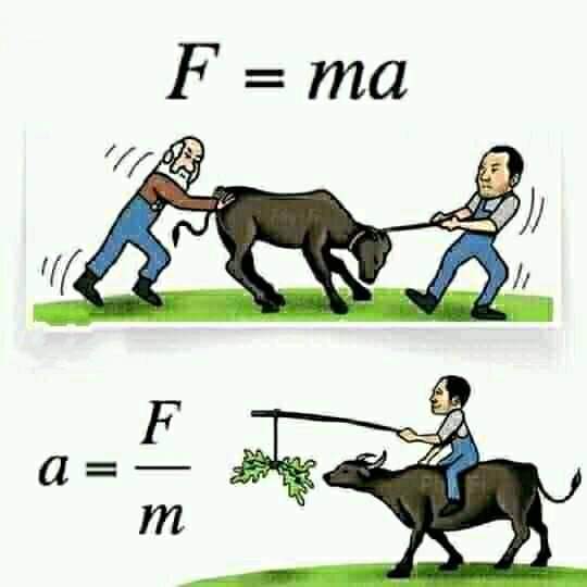 saw_gauri's tweet photo. #dolar https://t.co/UUMgwuBWE9