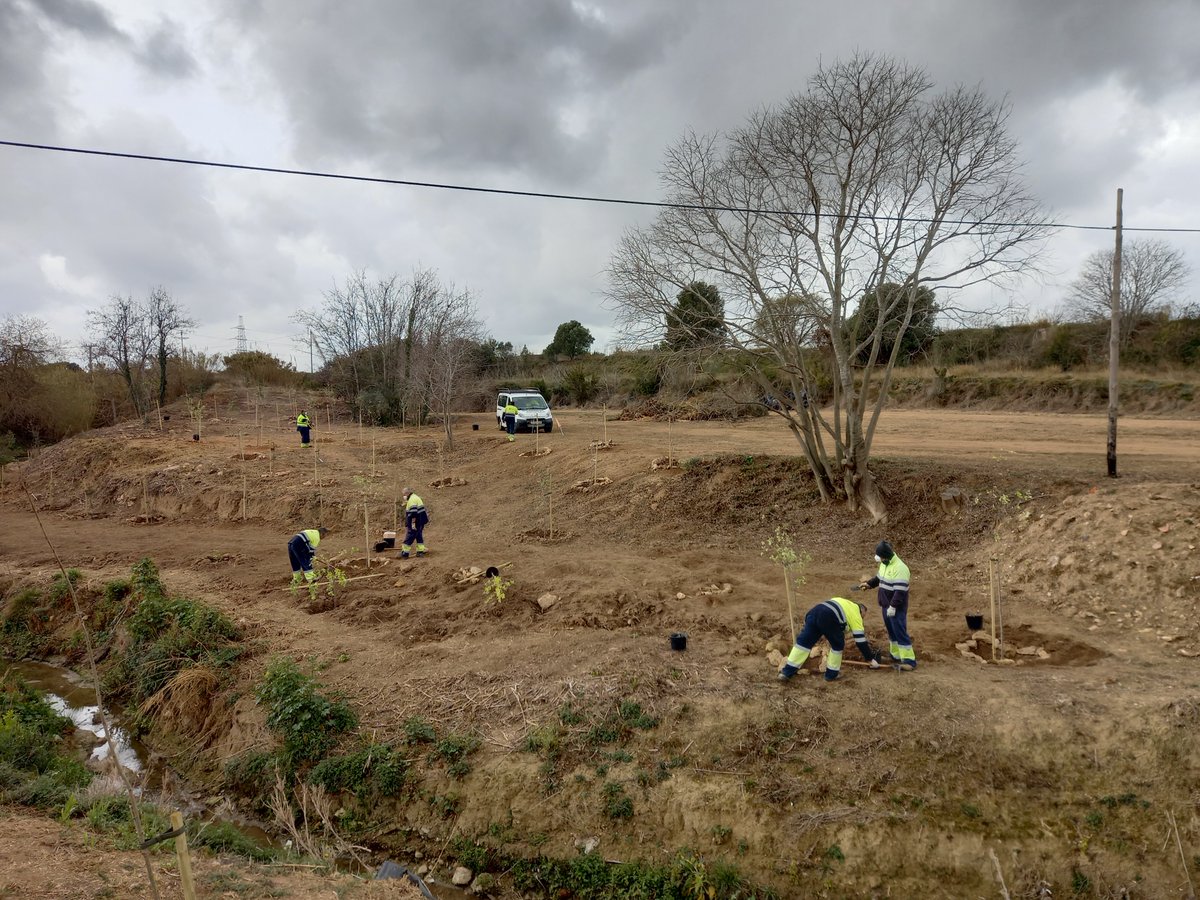 auroracet's tweet photo. 🏞️ L’#AssociacióAurora restaura i millora la biodiversitat fluvial del Torrent dels Garidells en el marc d'una convocatòria de subvencions de la Diputació de Tarragona.
+ informació 👉 https://t.co/TfFeDiRkSR
@Dipta_cat #MésSostenibilitat #DiptaSuma #custòdiafluvial #Garidells https://t.co/7knTBfs0CK