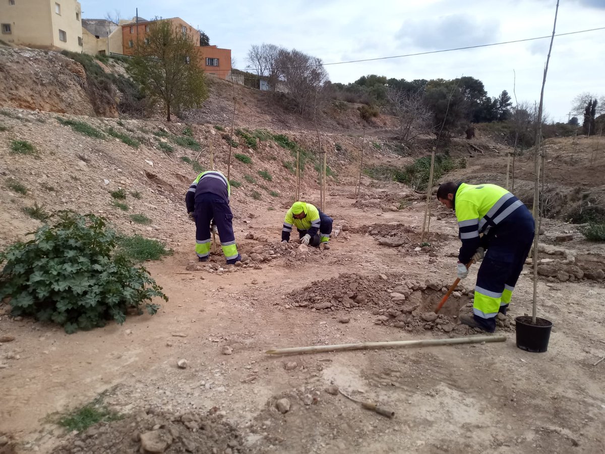 auroracet's tweet photo. 🏞️ L’#AssociacióAurora restaura i millora la biodiversitat fluvial del Torrent dels Garidells en el marc d'una convocatòria de subvencions de la Diputació de Tarragona.
+ informació 👉 https://t.co/TfFeDiRkSR
@Dipta_cat #MésSostenibilitat #DiptaSuma #custòdiafluvial #Garidells https://t.co/7knTBfs0CK