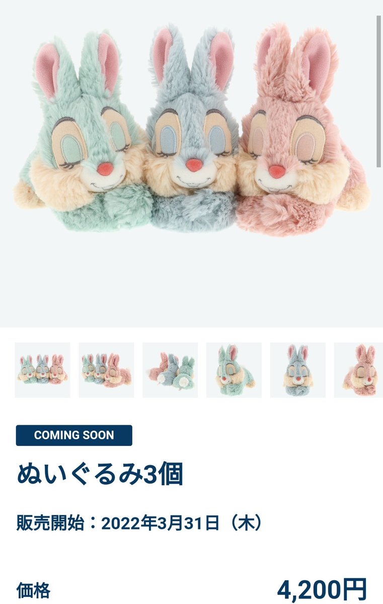 Disney - みず2022年東京ディズニーリゾート　トートバッグ&amp;青い鳥ぬいぐるみバンド Disney - みず様専用2022年東京ディズニーリゾート トートバッグ