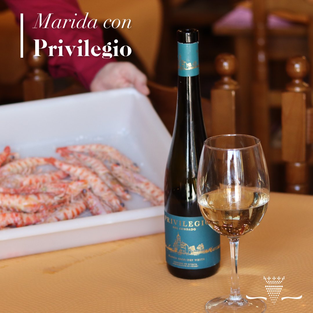No hay nada como maridar nuestros vinos blancos con un buen plato de las mejores gambas. 🍽️

¿Te apuntas a probarlo? 🥂

#dateelprivilegio #vinosdehuelva #bodegasprivilegiodelcondado #vinoblanco #privilegiodelcondado