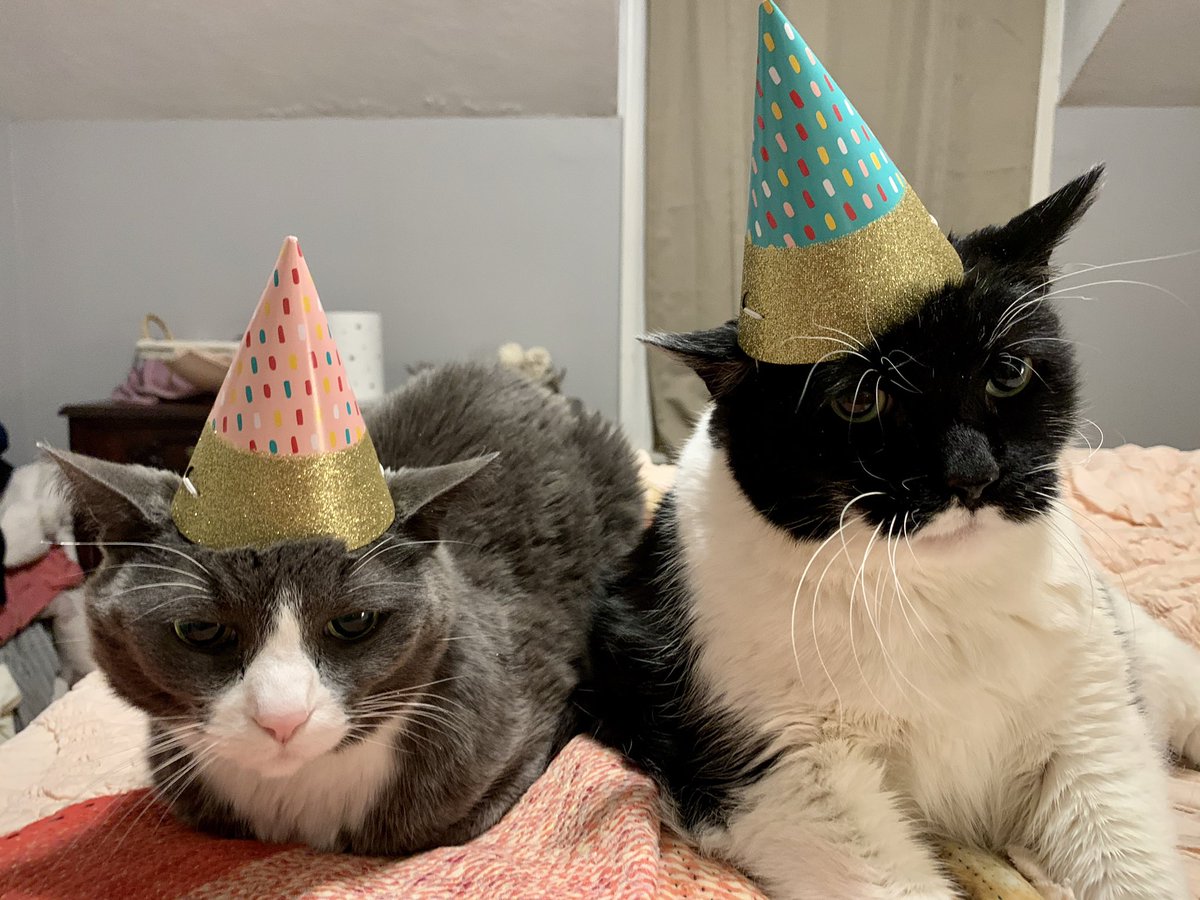 JessiAnnPrice's tweet photo. @poorlycatdraw Happy Birthday! https://t.co/hrFhd2pW7U