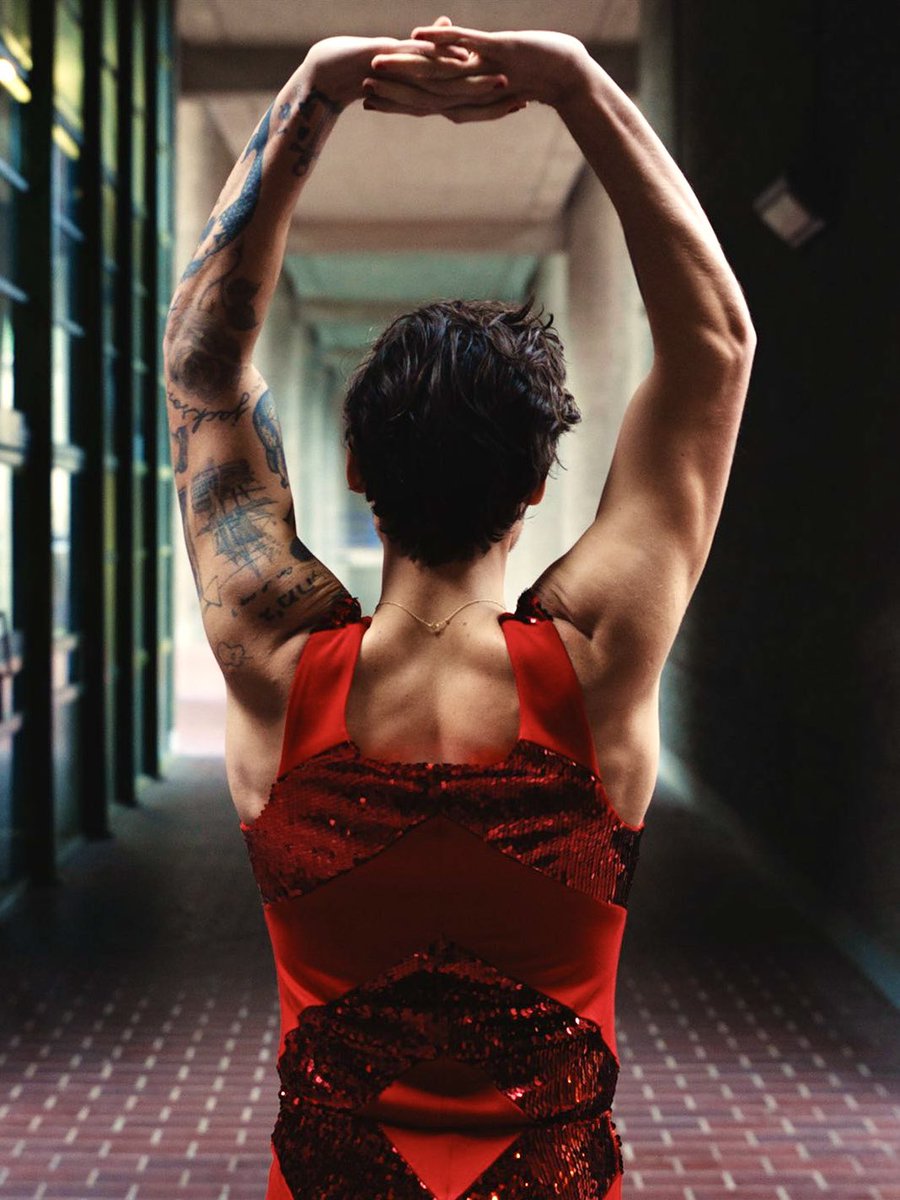 best of harry. (@theharrylibrary) on Twitter photo 