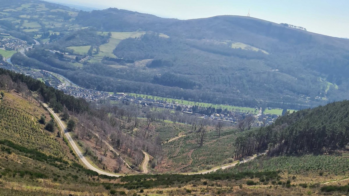 Cwmcarn Forest on a sunny day 🚗😍 Free or £8 for the forest drive (7 stops), including children's playgrounds and picnic/BBQ areas @CwmcarnFriends #CwmcarnForest @Visitcaerphilly