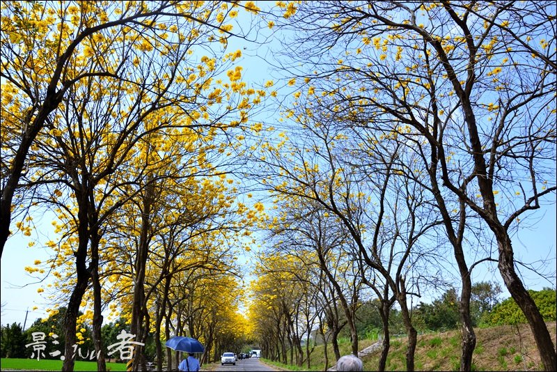 kagemusha_space's tweet photo. 2022嘉義風鈴木
https://t.co/LPScbOG4rQ

#chiayi  #taiwan #taiwantrip https://t.co/ztTYdq0pR2