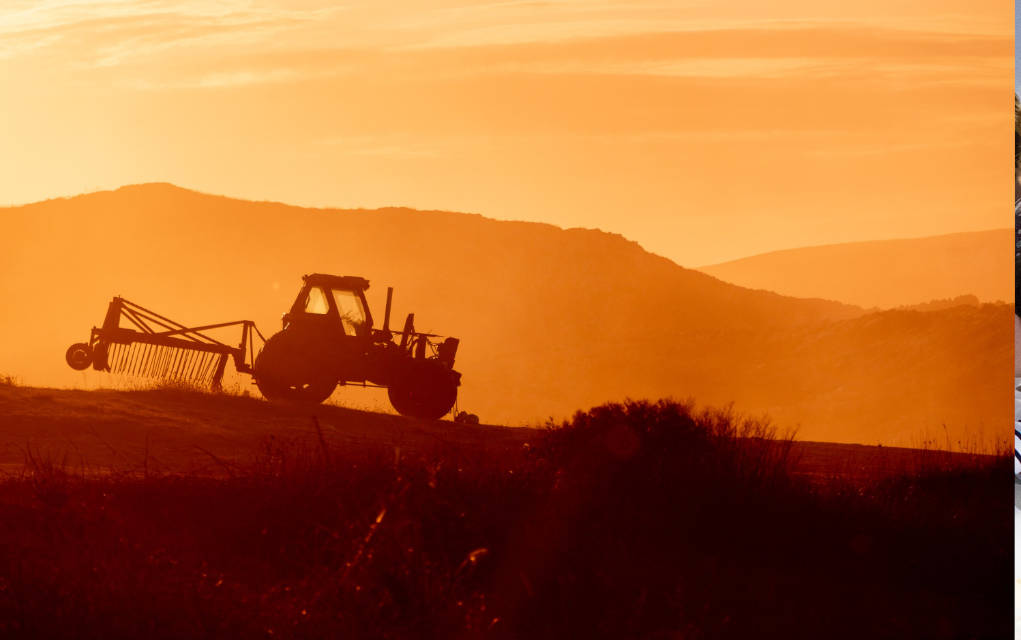 Une association entre  <a href="/MiddlesexUni/">Middlesex University</a> et <a href="/IFF_Training/">IFF Training</a> a permis aux étudiants de suivre une #formation dans le domaine de l'agro-industrie🚜 accréditée par badge numérique.

#OpenBadges #education #digitalbadges 

badgenumerique.com/2022/03/badges…