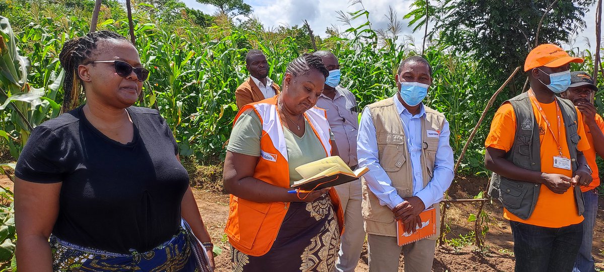 wvimalawi's tweet photo. Today, @AbiRiak our Snr Director of Operations for @WorldVisionSAR visited Nkhoma community in #Lilongwe to appreciate the gains made through our #Mindset change work. We can't wait to share with you all the stories we've come across. #thrive #Malawi #foodsecurity https://t.co/m4sy8viXT3