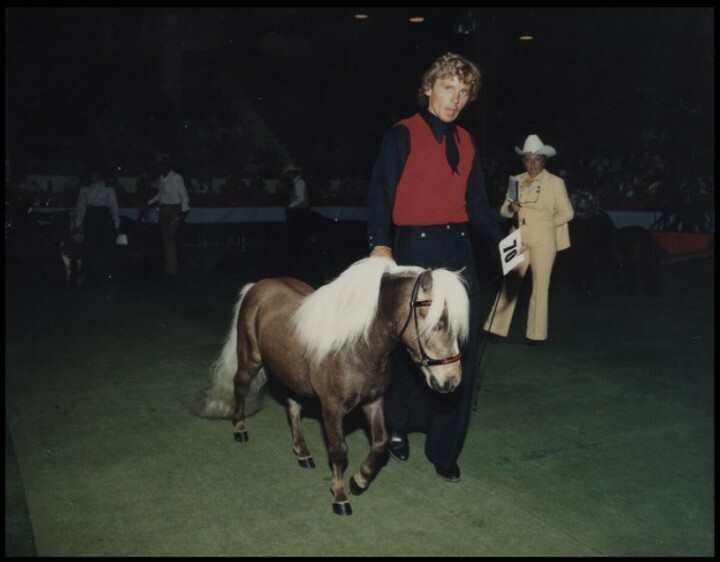 Miniature horse and owner in the show ring (CU130749). Courtesy of Collection, Libraries and Cultural Resources Digital Collections, University of Calgary.
#calgarystampede #stampedeag #miniaturehorseshow #miniaturehorses instagr.am/p/Cbp0b7zhFaC/