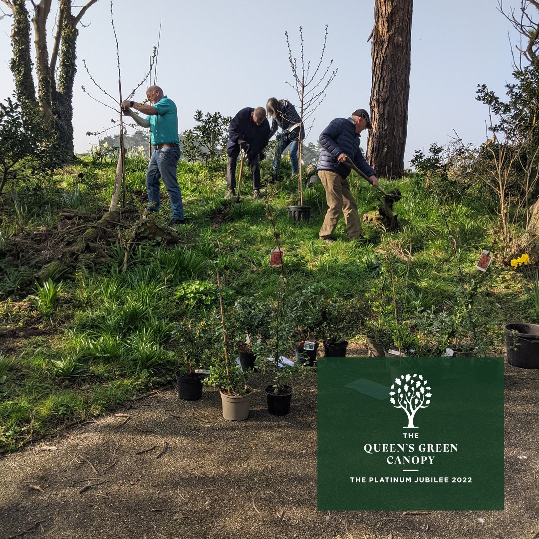 Silloth Green tweet media