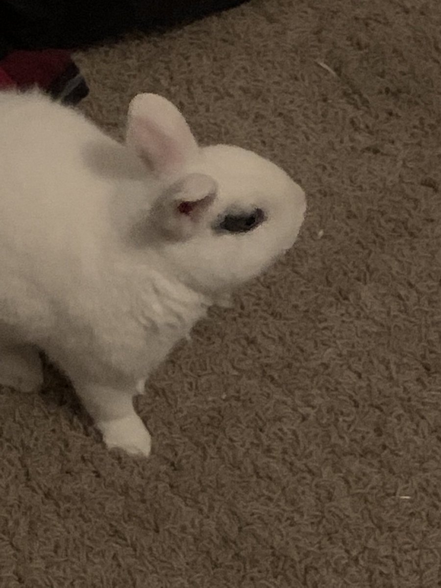 Jyazue Kirihara (@chubby_momma) on Twitter photo 