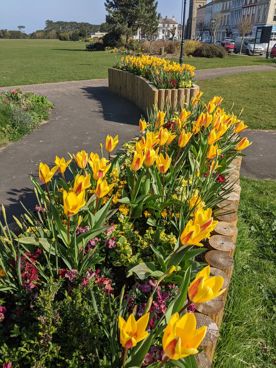 Silloth Green tweet media