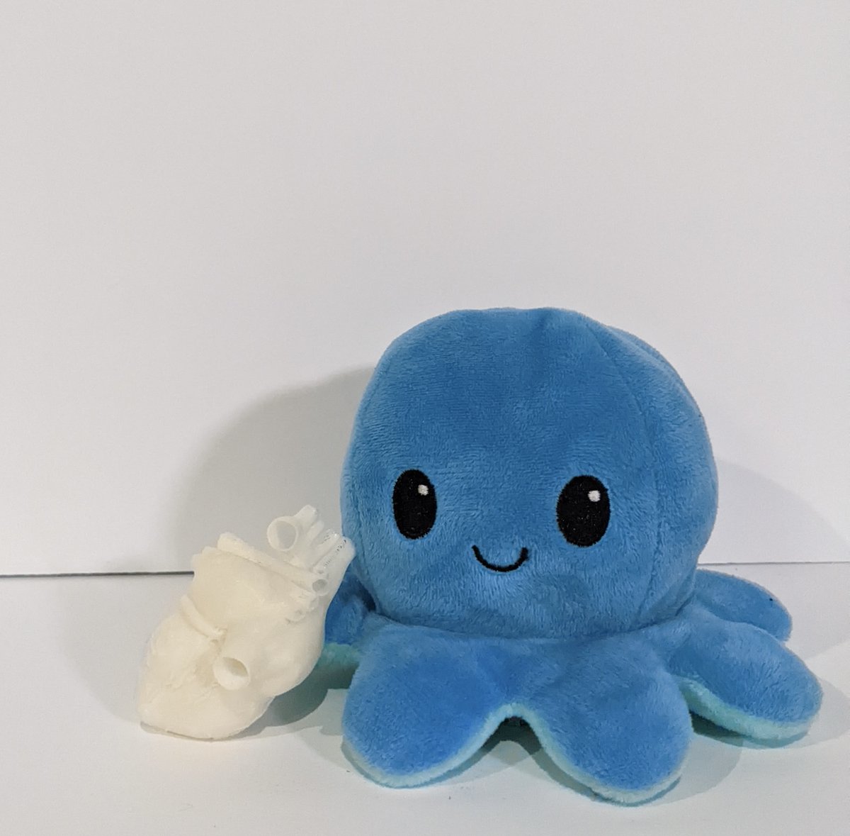 “I think #designers have a lot to bring to the medical field, especially for children." To improve education about congenital heart disease <a href="/umnmedschool/">UMN Medical School</a> partnered with #ProductDesign to create a new educational toy! Read about the collab at z.umn.edu/7m7q #UMNResearch