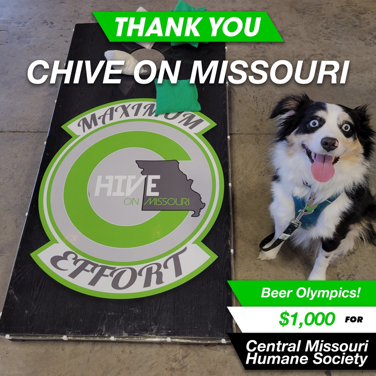 Chive Nation tweet media