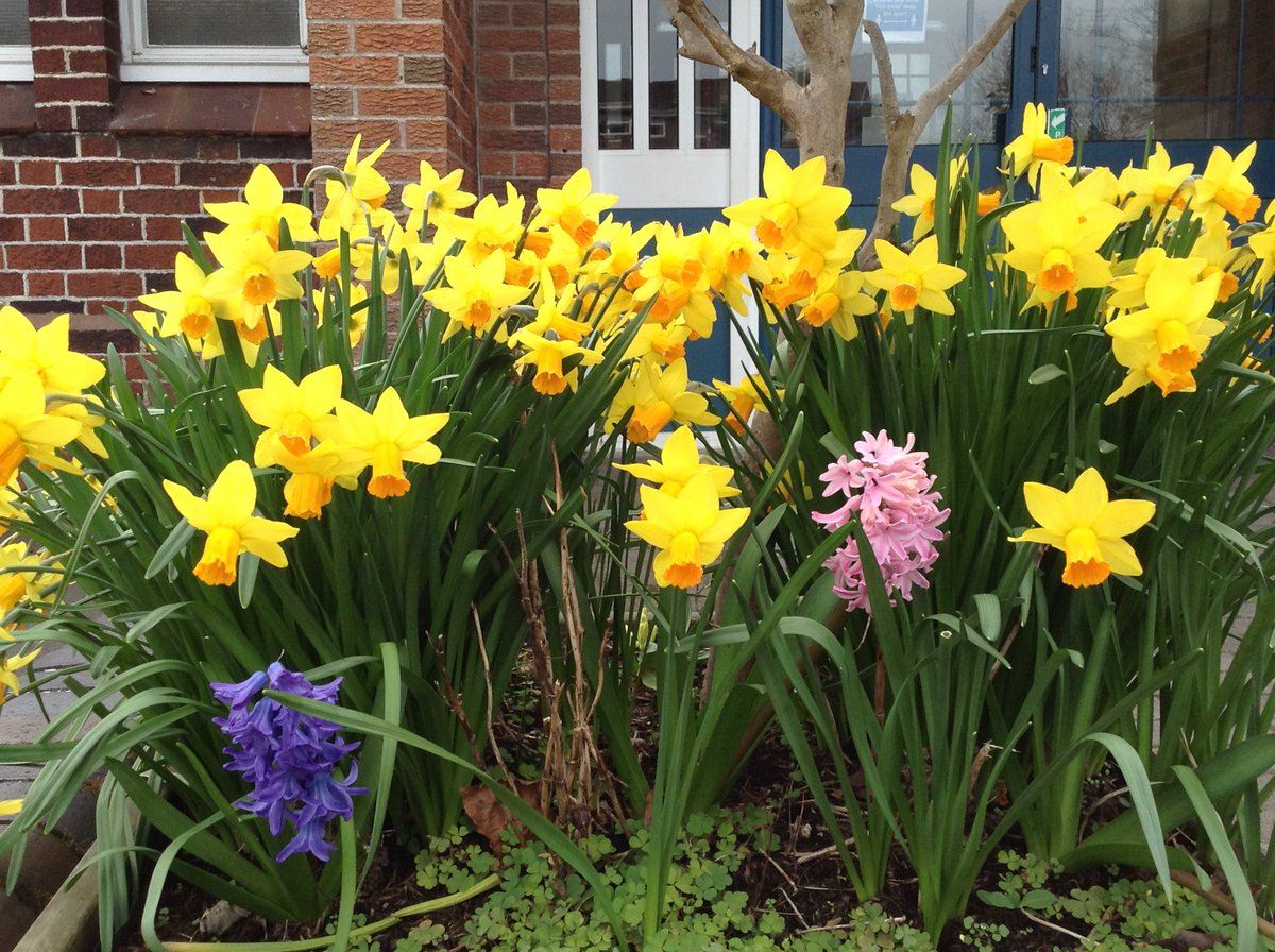Nursery pupils have been busy spotting lots of signs of spring! Can you spot them too? 👀🐝🌷🌞🐥 #Springishere