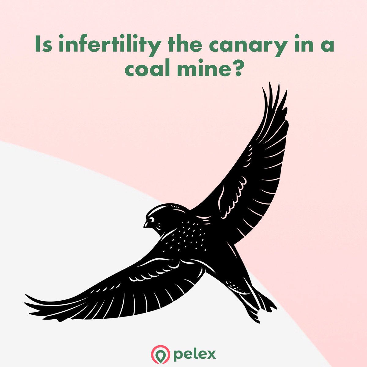 pelexfertility's tweet photo. Sign up for our webinar this Wednesday at 4PM EST to learn about #infertility and hormonal 🚩🚩🚩 link in bio! https://t.co/5ch7jRz7j0