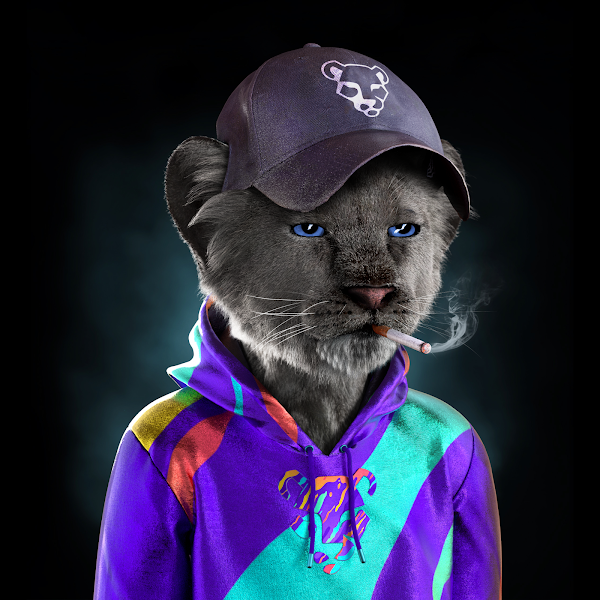 Drop your $ETH wallet and follow 🔔

Dont ask why 🤫