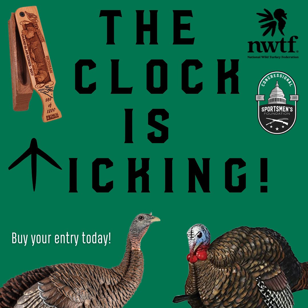 CSF works hard to protect our ability to do what we love. If you love Easterns, #Gould’s, and #Osceolas then help support our mission and help forge a future for turkey hunting. Click the link below! #GobblerGearGalore 🦃 

one.bidpal.net/csfturkey