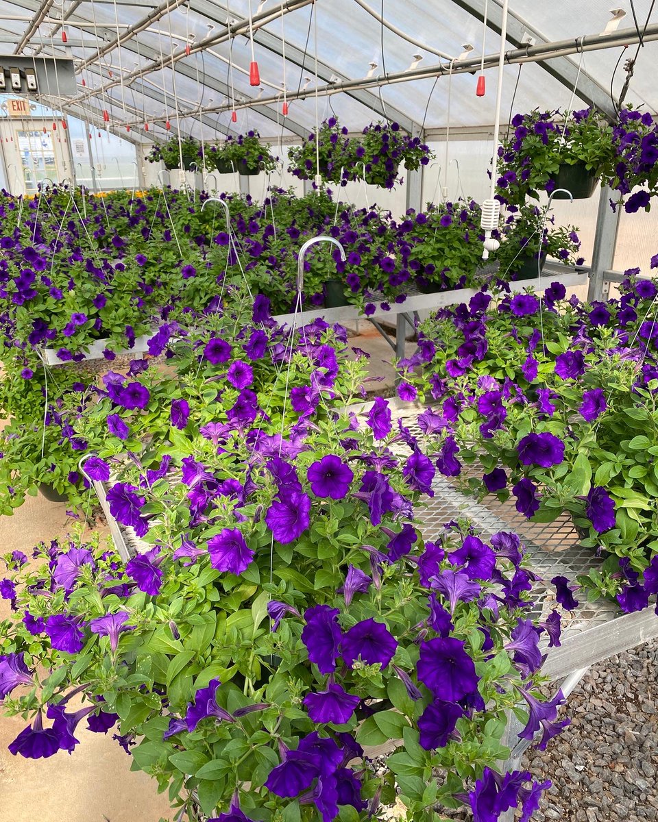 Oconee Middle FFA tweet media