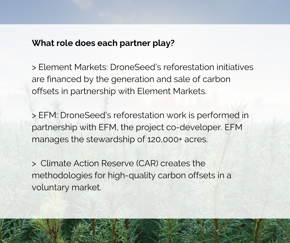 Mast Reforestation tweet media