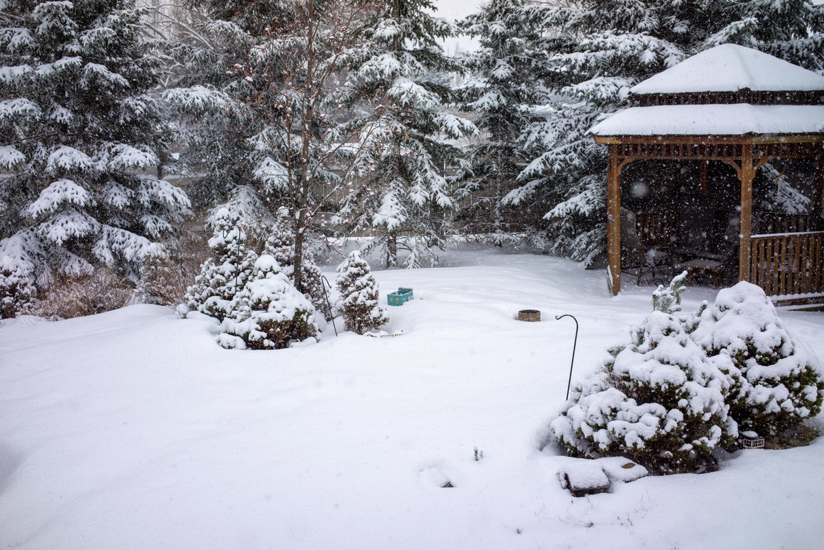 Smith__mj's tweet photo. @nancyjcarlson @CBCEdmonton "Edmonton":  ed ·muhn ·tn  --from the 10th century Saxon meaning spring ain't never gonna happen.
#yegwx #snowyspring #Yeg https://t.co/OnZeOuxgKr