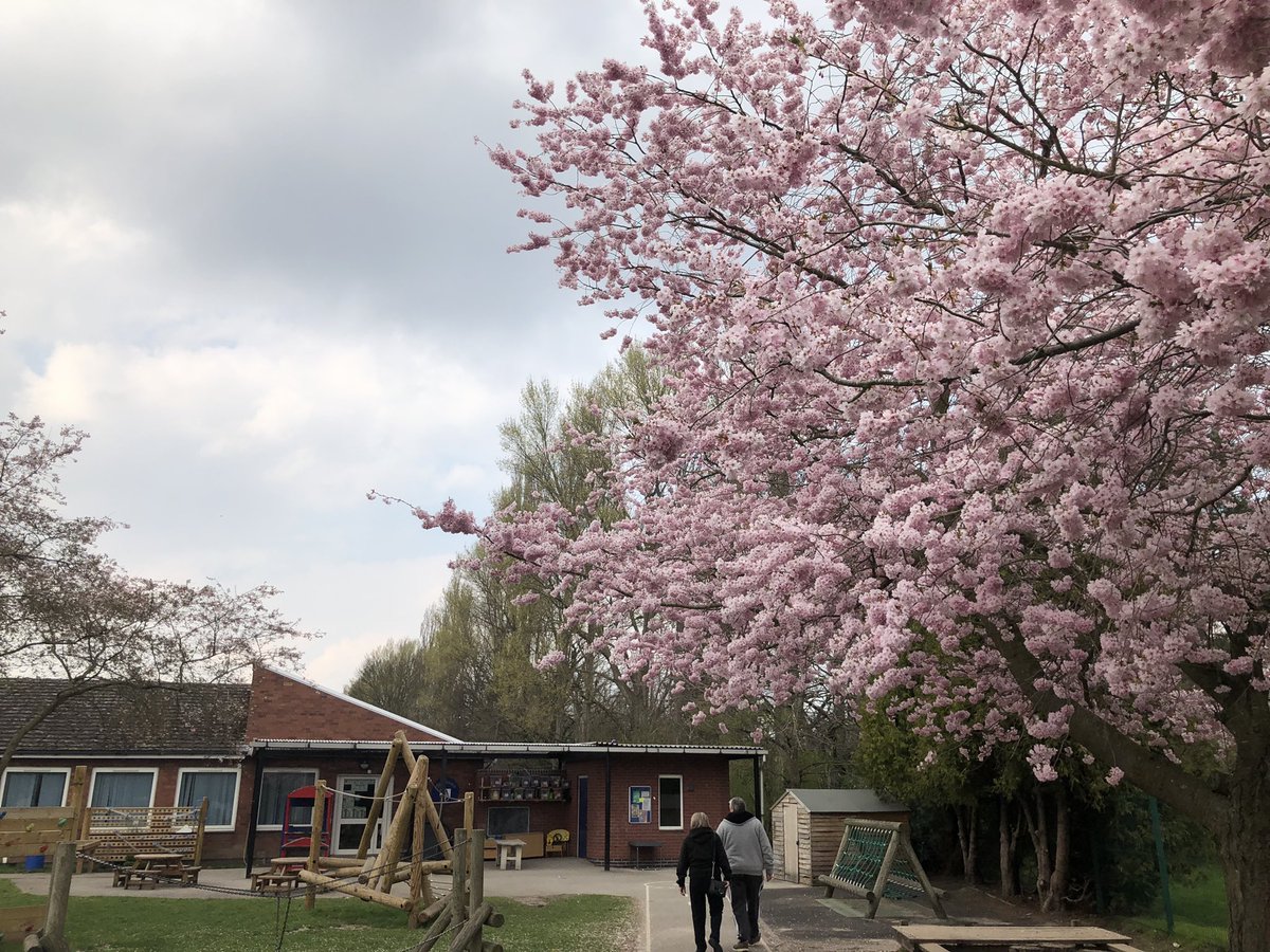 Iankilby2's tweet photo. My 4 year old daughters school playground #BlossomWatch https://t.co/Ok0o5I6MAW