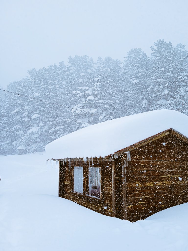 Bolu/Abant Tabiat parkı
Muazzam bir Mescid :)