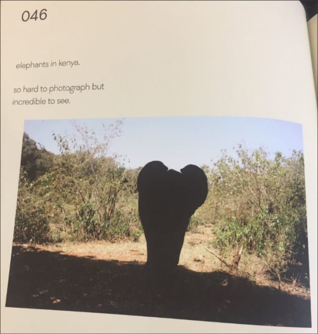 Lynsey James tweet media