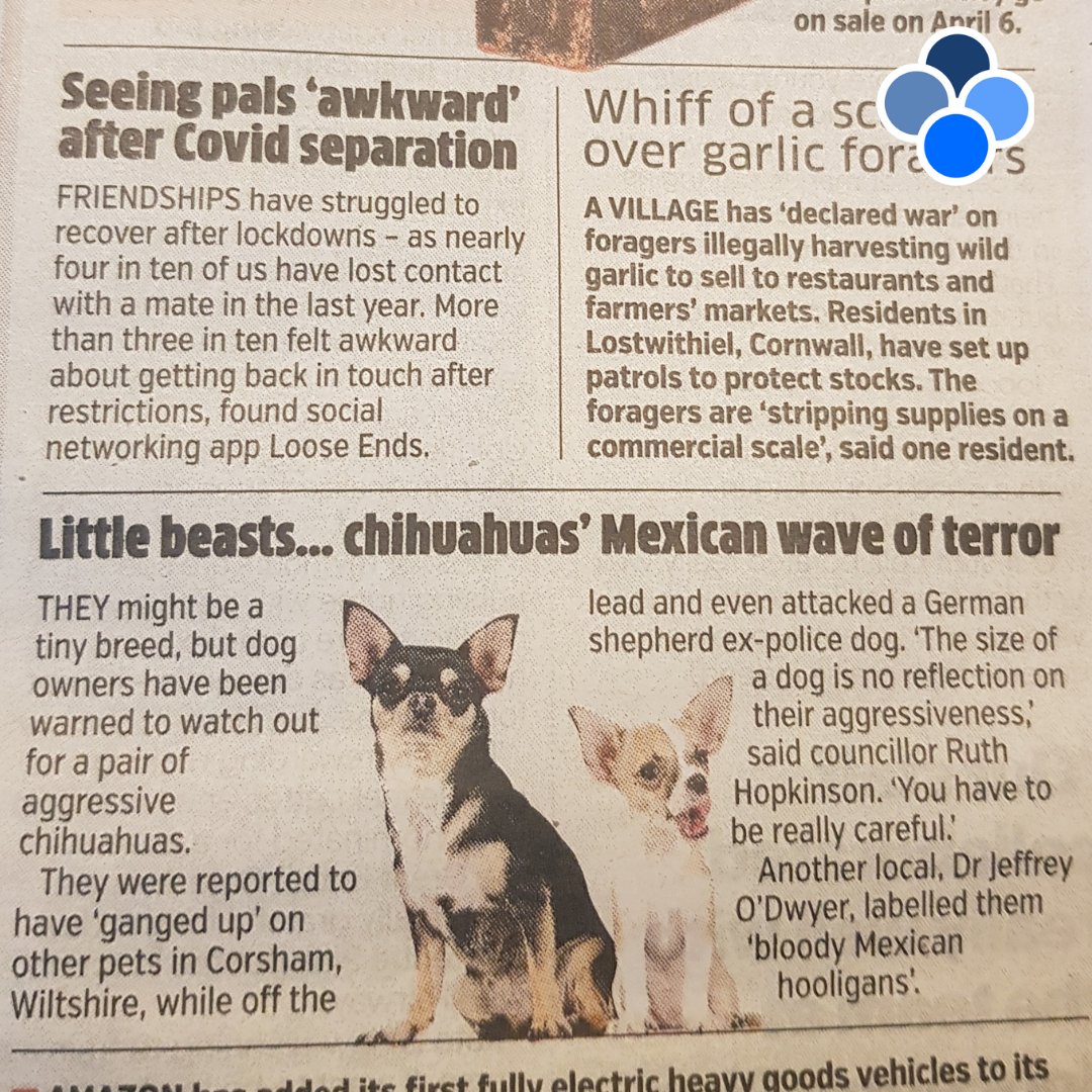 Loose Ends tweet media