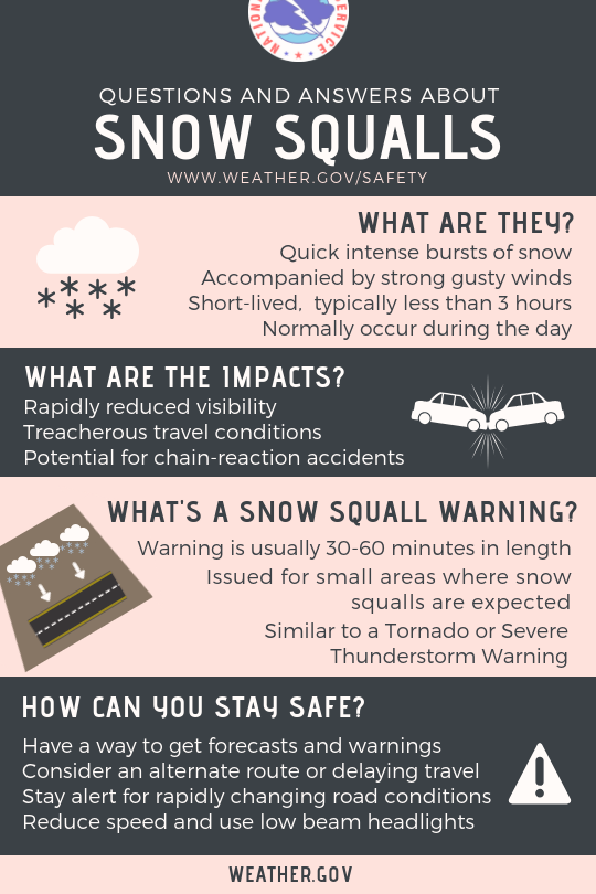 ReadyNJ's tweet image. Snow squalls are in the forecast for parts of the state.
Whiteout conditions can happen in minutes!
🚗Check 511nj.org before hitting the roads 
📻Stay tuned to your local weather for updates. 
Learn more bit.ly/3uTBLbt
#ReadyNJ #Snowsquall #mondaythoughts