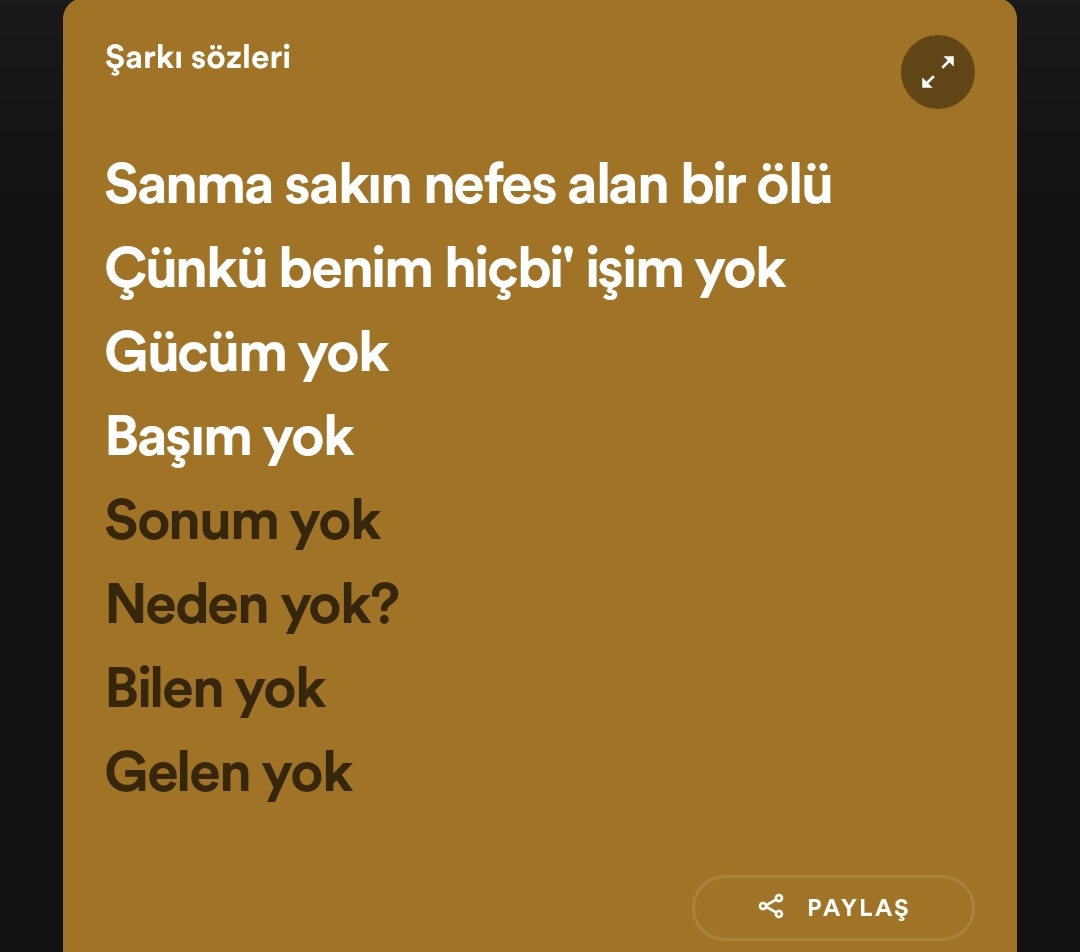 bu şarkıyım ben