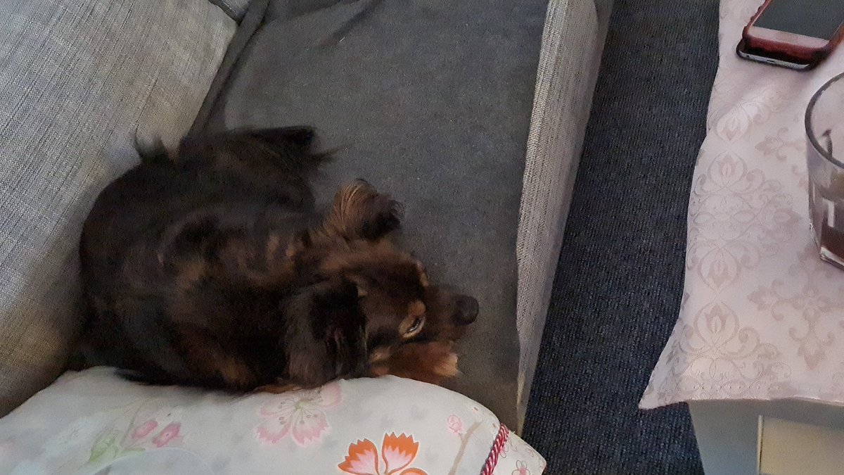 DieSucht's tweet photo. Gute Nacht, bin müde und warum kommt der Winter wieder. #friert https://t.co/txVokcILSo