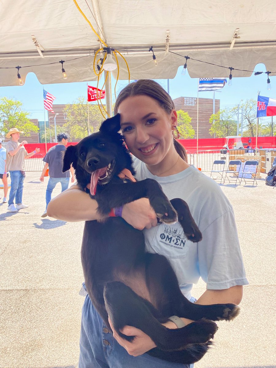 23emmashaw's tweet photo. Fiesta Day 3 was an experience! It was a super hot day but me and my friends had so much fun! Eating cotton candy, watching T-Pain, and playing with puppies was the highlight of the day! Fiesta was def a core memory that I will cherish forever! #uh #fiesta https://t.co/lzoNVUfTTN