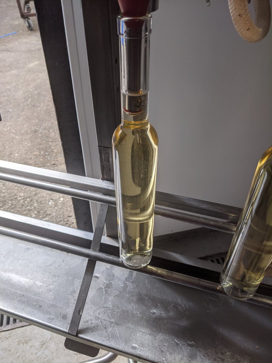 Ice Cider bottling today