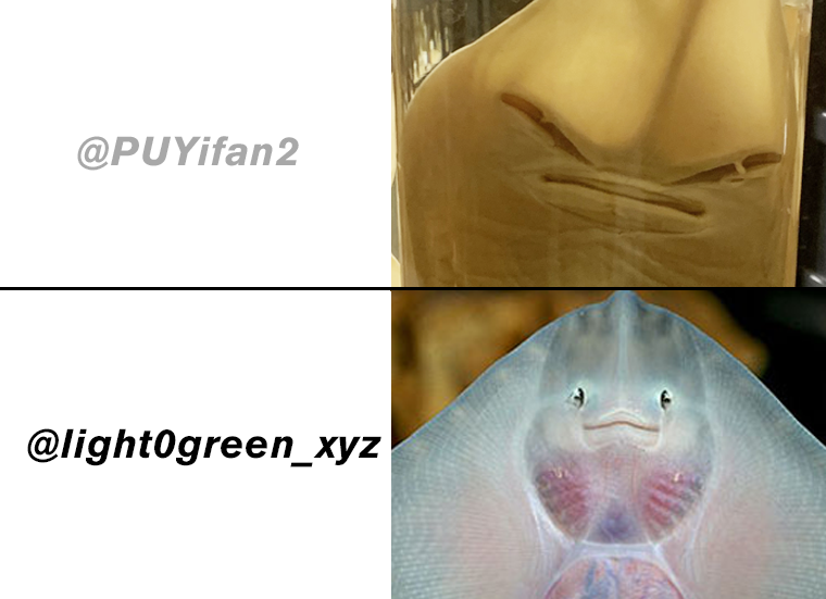 hi I changed my handle to make the ray happy