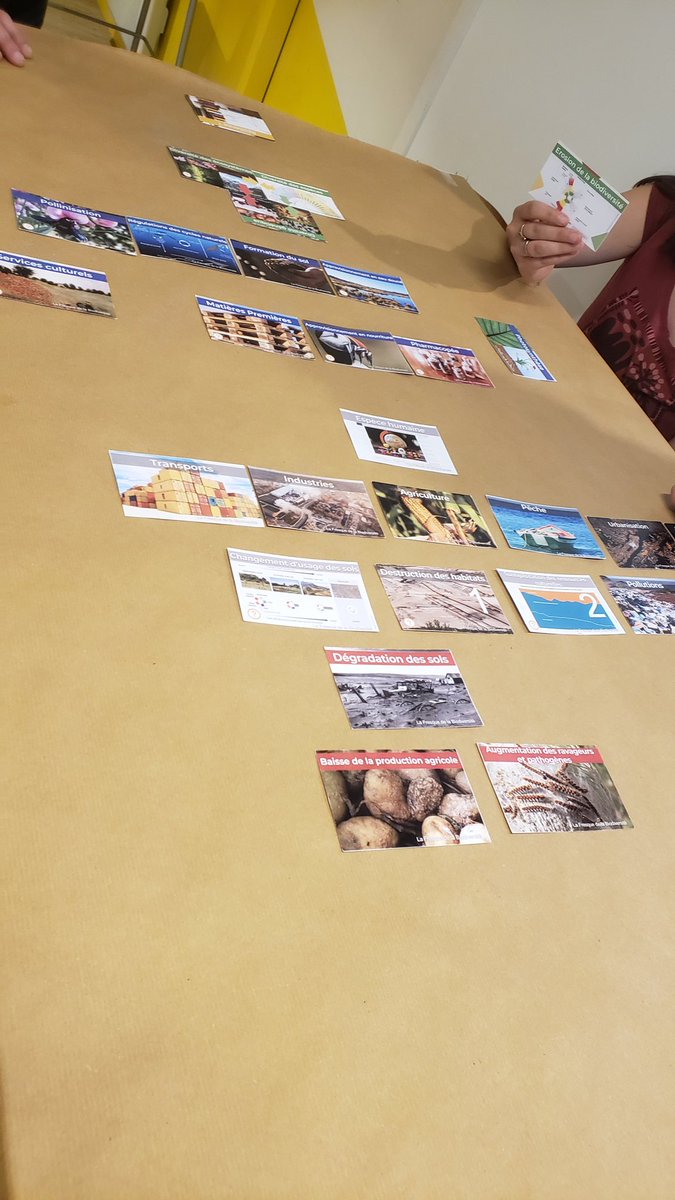 Marion Simon tweet media