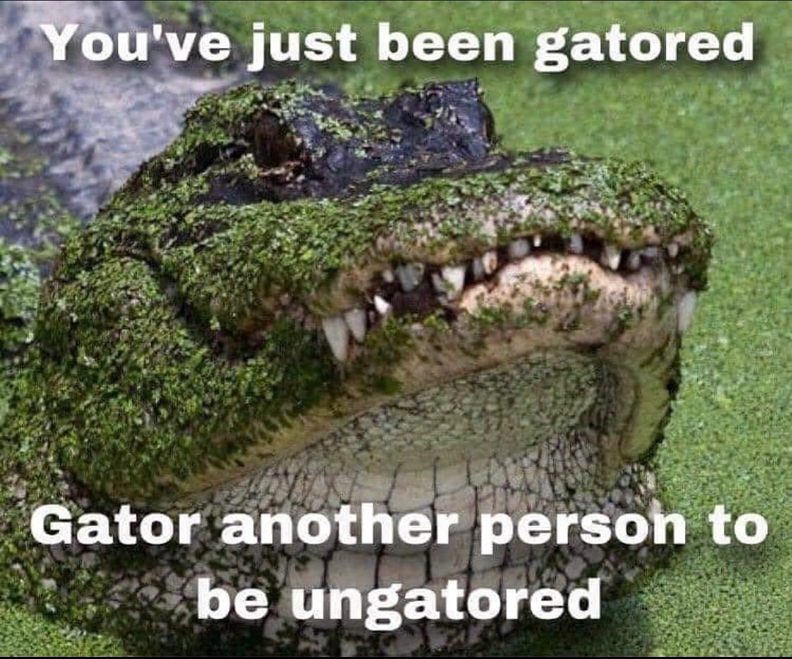GatorsDaily's tweet photo. https://t.co/OJyrEjL1vA