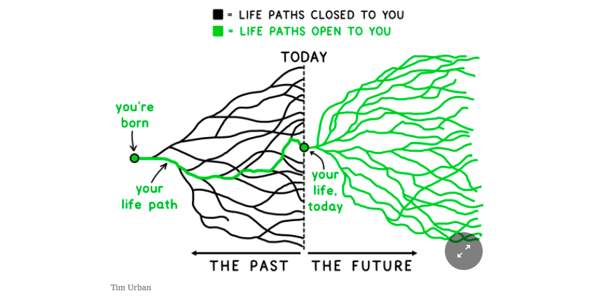 the lush green tree of possibilities - mailchi.mp/yamatalent/the…