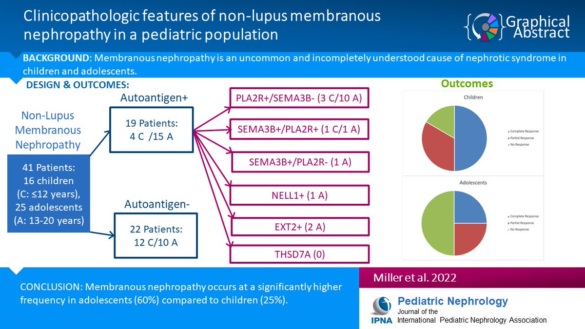 Ped_Neph's tweet photo. Membranous nephropathy is an uncommon cause of nephrotic syndrome in pediatrics. Read this Original Article that reviews kidney biopsies w/membranous nephropathy w/o evidence of systemic lupus erythematosus within 6 months of biopsy.
https://t.co/gLdlrUvPPS https://t.co/QvOM3sjKxj