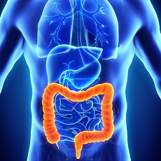 Igen_Biolab's tweet photo. #NuevoEstudio 🔬 Un microbioma intestinal sano mejora el éxito del tratamiento del cáncer
🔗 https://t.co/YXNRT3vBd2 https://t.co/1T52Xc7Gdh