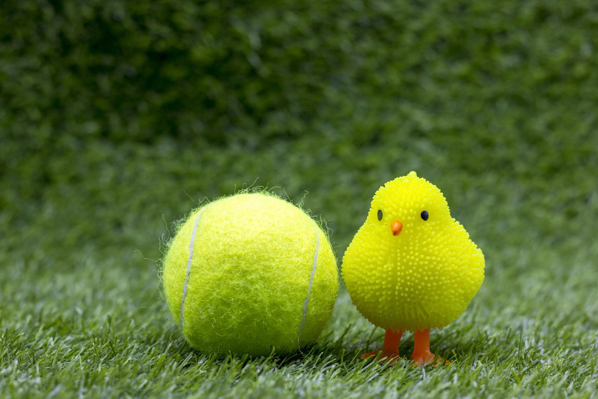 Easter camps are now available to book on. Just scroll down the page and click on the day/days you'd like to book. Thanks 😊 
clubspark.lta.org.uk/CreigiauLTC/Co…