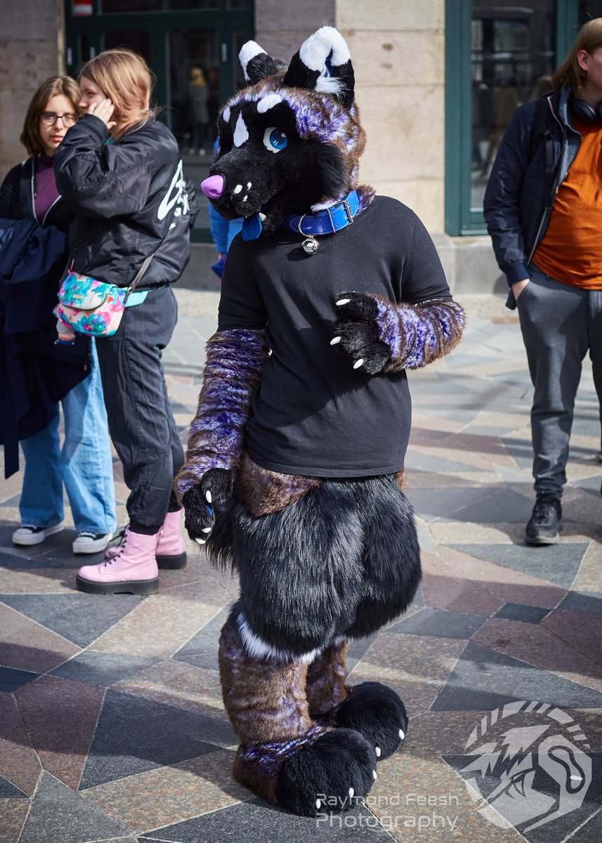 SoelveDeer's tweet photo. First time publicly suiting in Rory. So nice to finally get out ! 
Yes, the tail was tasty 😋

📷 @raymondfeesh https://t.co/eJVdpennmw