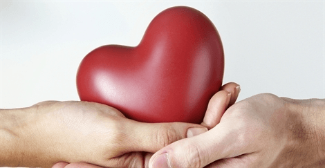 AMTAMinnesota's tweet photo. Learn optimal massage therapy techniques for clients with cardiovascular disease. Delve into risk factors, medications and symptoms. Explore the proven benefits of massage for CD, and how you can use that knowledge to build your practice.
https://t.co/EYKH9Ujyuq https://t.co/jyIcGshPua