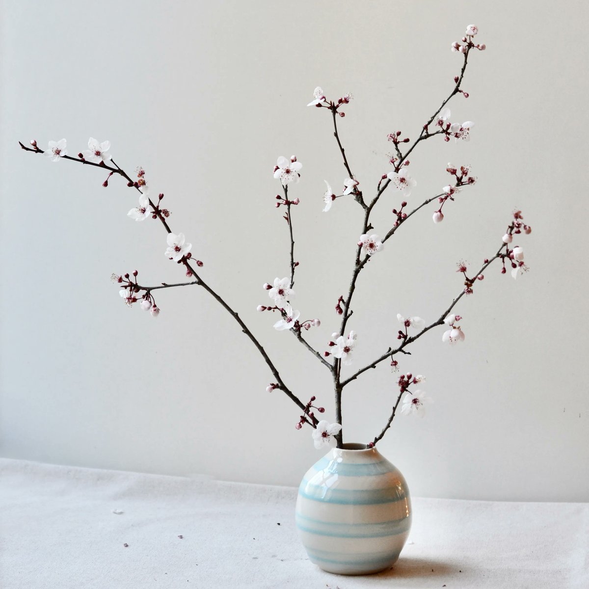 MaiaMing's tweet photo. Springtime is magic.
Trees blossom all around me.
My favorite time.
#springhaiku
#haiku
#haikuandphoto
#photohaiku
#haikuofinstagram
#instahaiku
#haikucommunity
#poetsofinstagram
#haikupoetry
#haikupoem
#haikupoet
#fivesevenfive
#seventeensyllables
#haikupoetry
#dailyhaiku https://t.co/XtNV7kfY7A