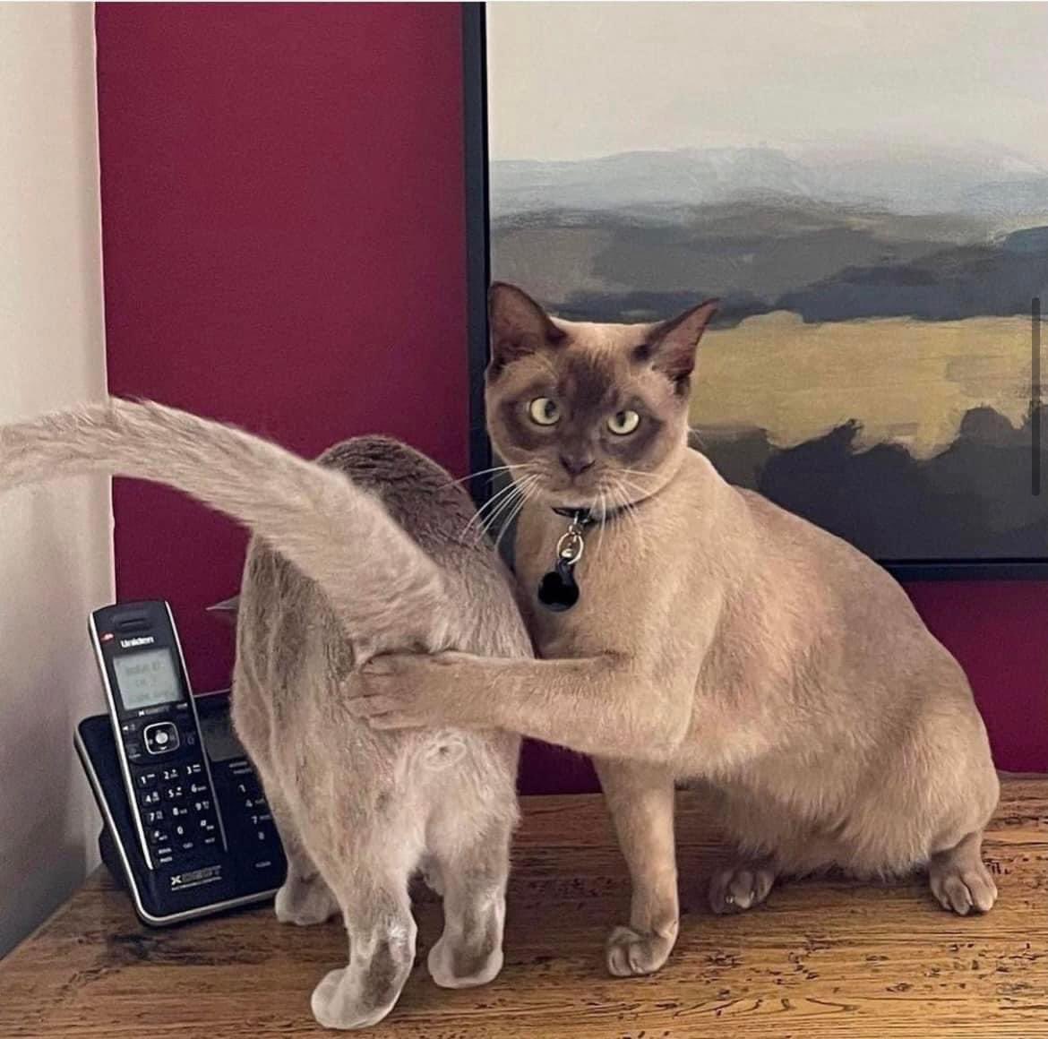 Will Smith to Jaden be like ✌️🤭