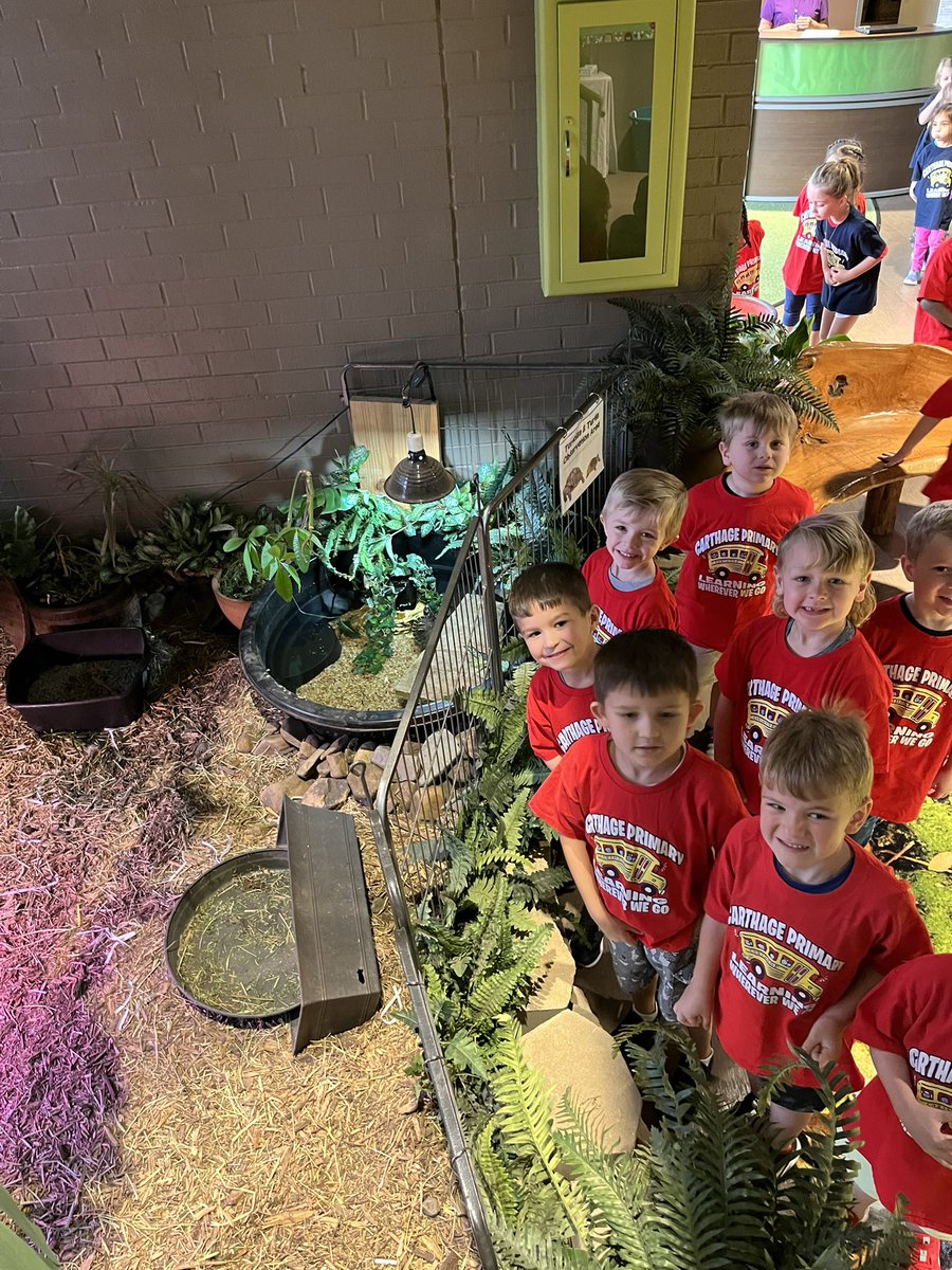 Region7EcoLand's tweet photo. Carthage PreK said their favorite things, at EcoLand, included:  Gracie the bunny🐇, the tent⛺️ in the Serengeti room, the sled🛷 in the Polar room, investigating the tree🌳 in Plants &amp; Animals.  One said he LOVED IT ALL!!  And many said outside☀️ was their favorite! @Region7ESC https://t.co/Jo6DccNJnw