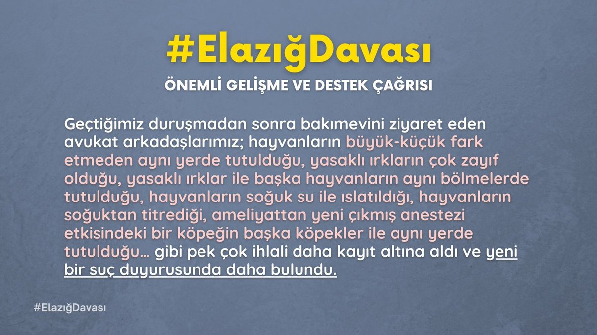hakim_komite's tweet photo. Geçtiğimiz duruşmadan sonra bakımevini ziyaret eden avukatlar pek çok hak ihlali belgeledi ve suç duyurusunda bulundu.Yargılama sürerken bakımevinde değişen hiçbir şey olmadığı, “şu an bakımevi beş yıldızlı otel” diyen tanığın yalan söylediği kanıtlanmış oldu. #ElazığDavası https://t.co/1TY41zQ5nK
