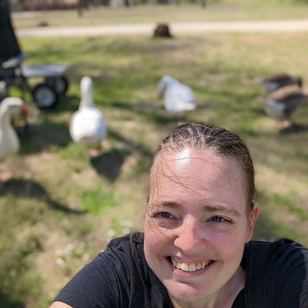 When they finally walk up for a selfie and you forget portrait mode blurs... #oops #pilgrimGeese #geeseOfInstagram #selfieFail #TiedtHonkers
