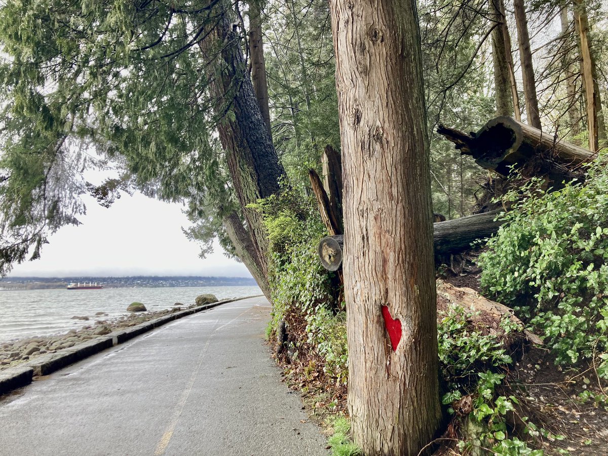 merissafb1's tweet photo. Enjoying the miles in Van! #vancouver #bostontraining https://t.co/TWJ5s6fv4L