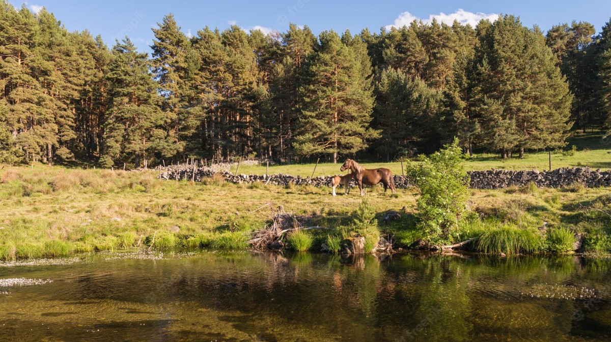 128 medidas salen de una encuesta para mejorar Gredos Norte
avilared.com/art/61221/128-…
<a href="/Gredos_/">Gredos</a> <a href="/dipuavila/">Diputación de Ávila</a> <a href="/jcyl/">Junta de Castilla y León</a> <a href="/navarredondacpt/">Navarredonda Gredos</a> <a href="/aytobarcodeavil/">aytobarcodeavila</a>  <a href="/naturalezacyl/">Naturaleza Castilla y León</a> <a href="/patrimonionat/">Fundación Patrimonio Natural</a>
